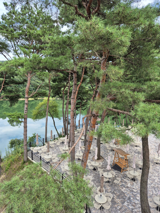 🐋 원주 카페 고래호수, 자연 속 야외 공간에서 힐링하는 시간 🌲
