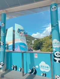 海洋公園一日遊 ｜熊貓寶寶超可愛🐼