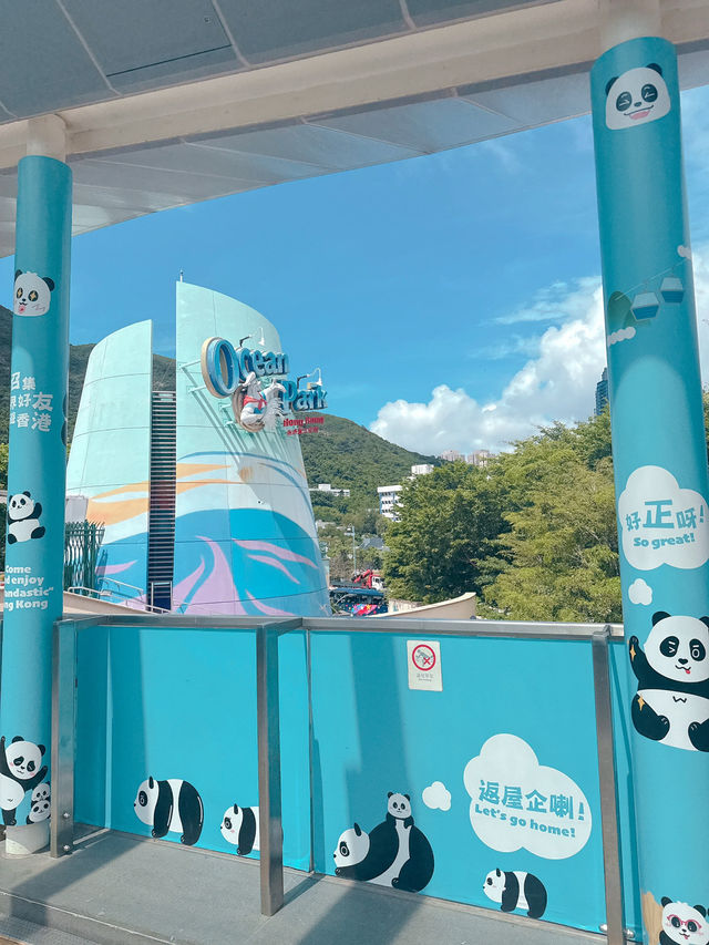 海洋公園一日遊 ｜熊貓寶寶超可愛🐼