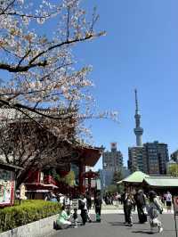 【東京】浅草寺