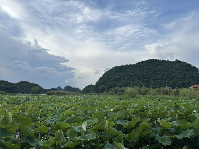 普者黑仙人洞村 · 四日行程簡記