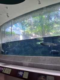 [台中旅遊］國立自然科學博物館🦖及植物園🌳暑假最適合帶小朋友拜訪的室內親子景點🔬
