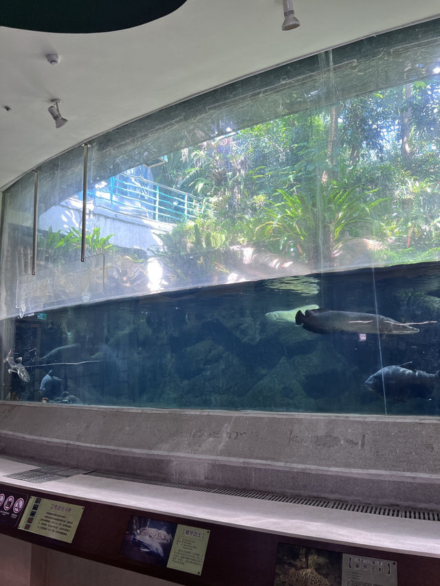 [台中旅遊］國立自然科學博物館🦖及植物園🌳暑假最適合帶小朋友拜訪的室內親子景點🔬