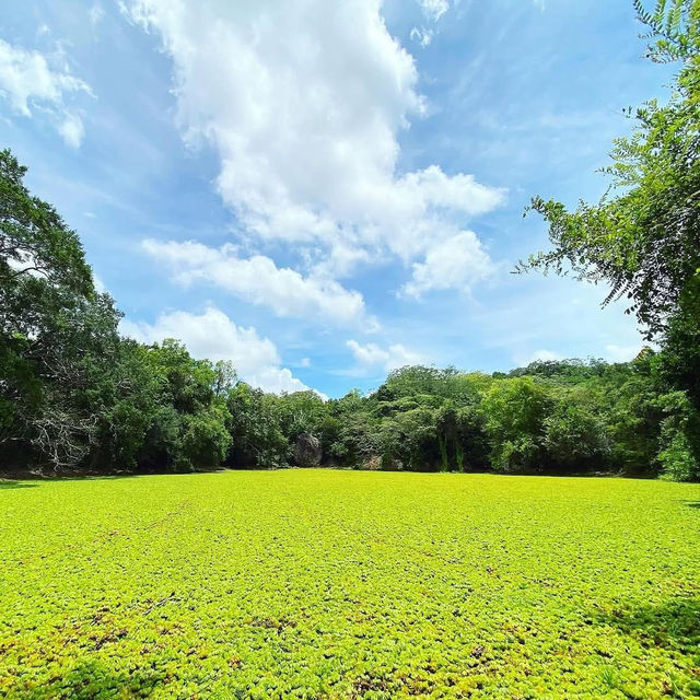 Serene Beauty of Hatthikucchi