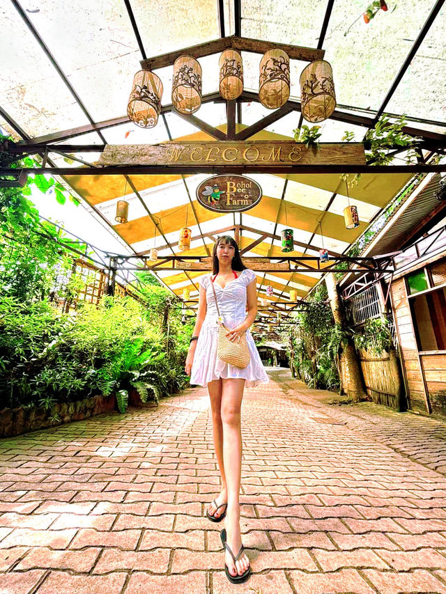 Sweet Escape at Bohol Bee Farm 🍯 Sweet Escape at Bohol Bee Farm 🍯