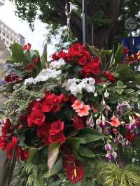 💐 横浜ガーデンネックレス:花と街並みがつながる春の散歩道