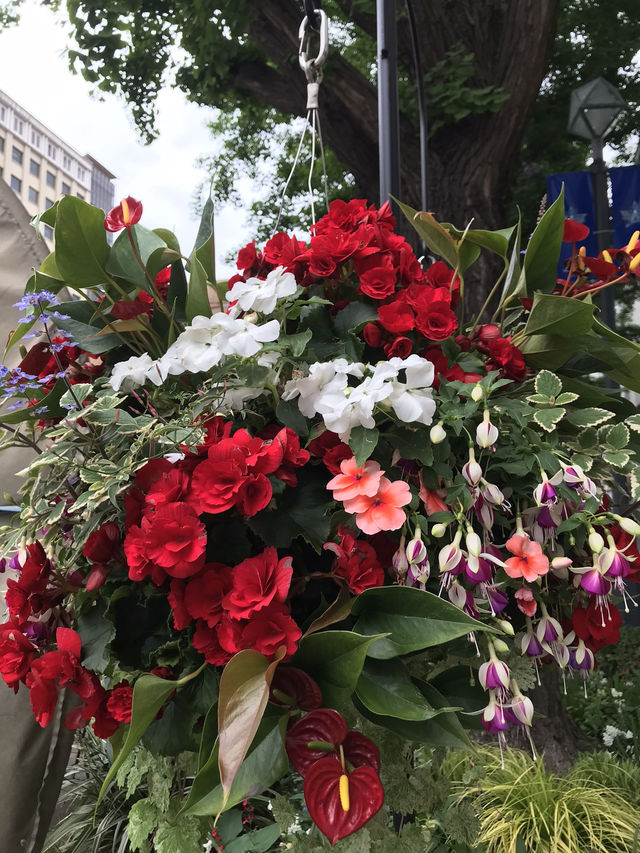 💐 横浜ガーデンネックレス:花と街並みがつながる春の散歩道 💐 横浜ガーデンネックレス:花と街並みがつながる春の散歩道