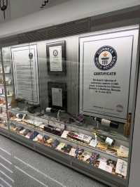Exploring the Museum of Romanian Records