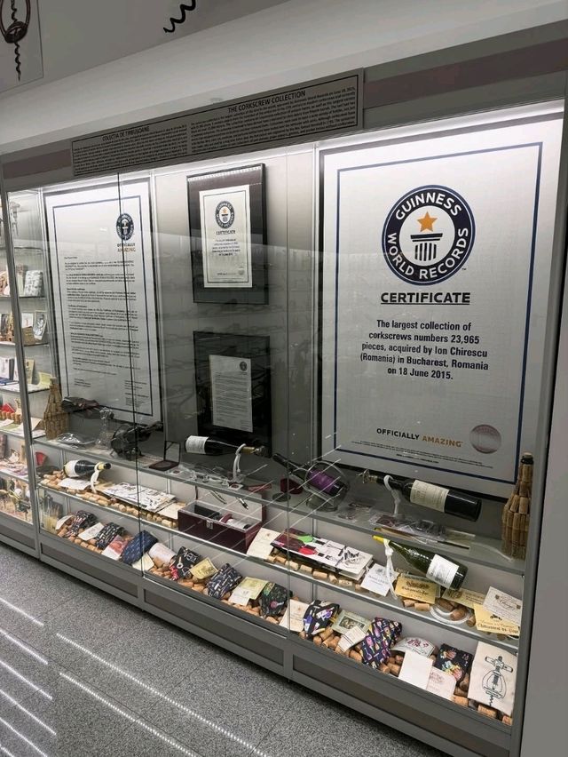 Exploring the Museum of Romanian Records