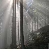 Tatra National Park, Slovakia