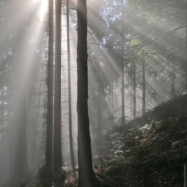 Tatra National Park, Slovakia
