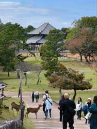 Tōdai-ji, Nara - Home of the Great Buddha and Sacred Deer
