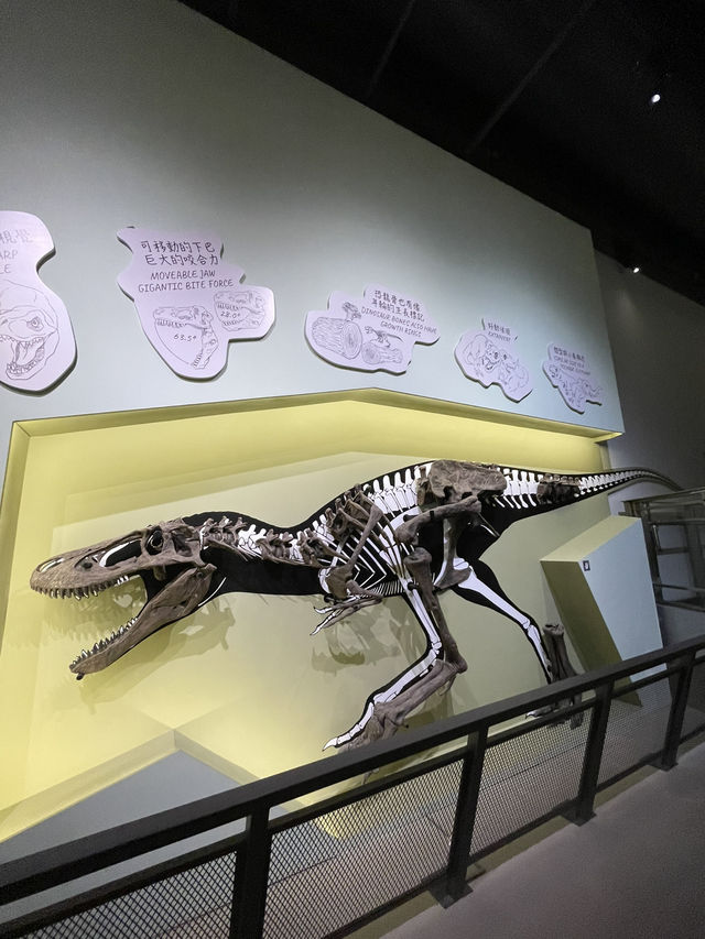 🇭🇰 Paleontology Gallery 🇭🇰 Paleontology Gallery