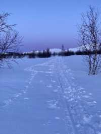 【特羅姆瑟｜雪夜下極光的祕密】  