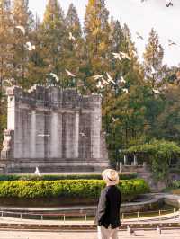 【中山公園｜南京綠意與歷史寫給城市的長信】