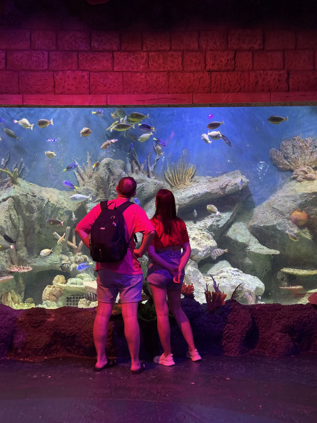 🌊✨ VinWonders Phu Quoc – โซน Aquarium
