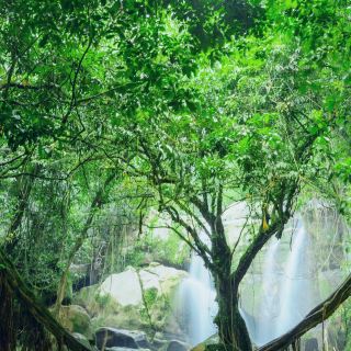 Danum Valley Conservation Area