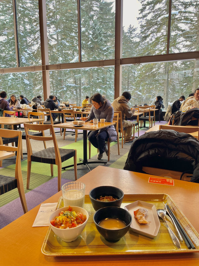 겨울 즐기기 끝판왕! 호시노 리조트 🥶❄️☃️🥌