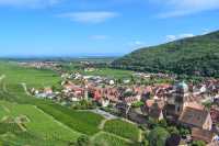 Alsace Wine Route