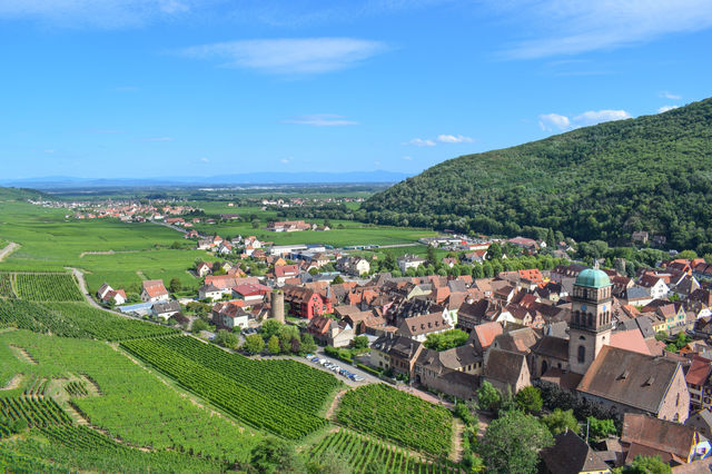 Alsace Wine Route