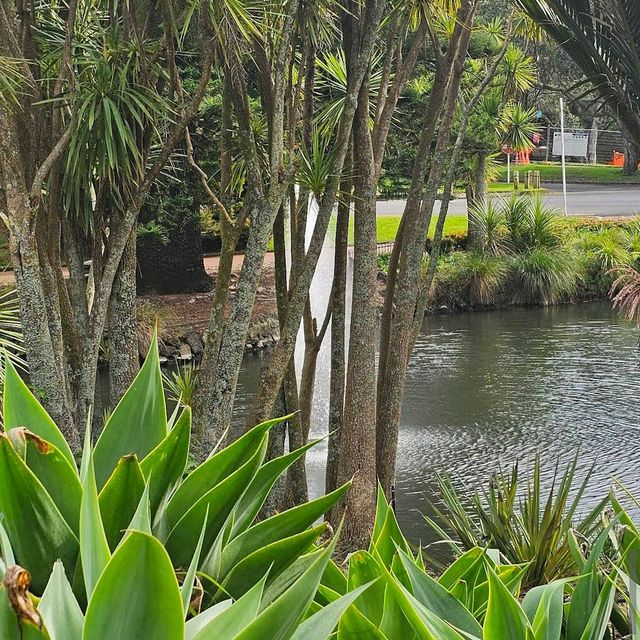Auckland Domain 🌿