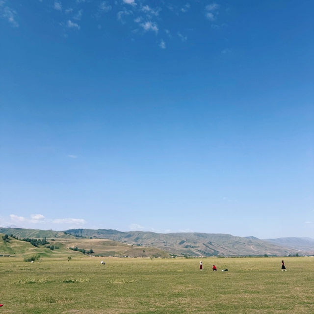 ทุ่งหญ้านาราถี (Nalati Grassland) 