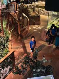 《沖繩親子景點| DMM水族館》
