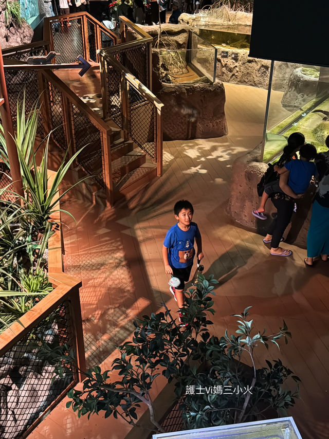 《沖繩親子景點| DMM水族館》