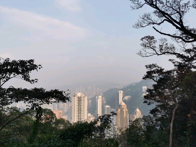 🍃 Peak Trail ที่อยู่บน Victoria Peak (The Peak)