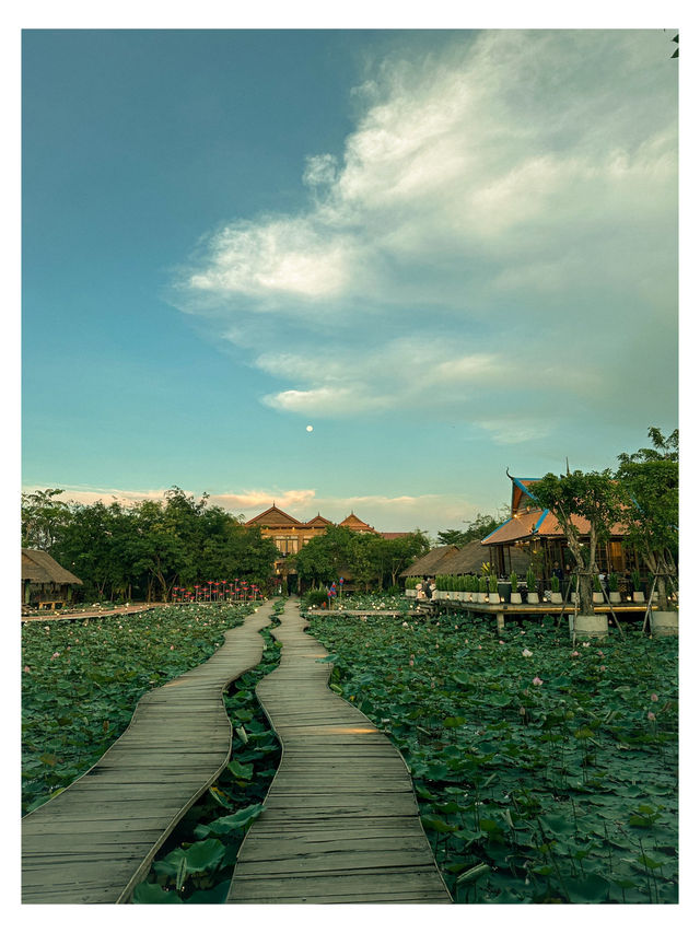 📍 Tavern Siem Reap – Khmer Food Restaurant in Cambodia 🇰🇭