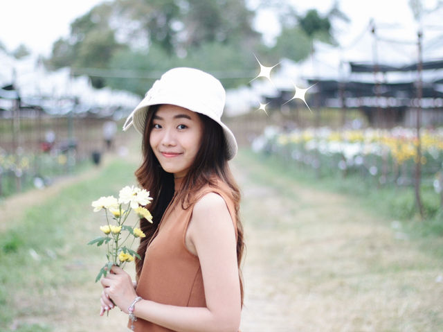 เที่ยวสวนดอกไม้บิ๊กเต้