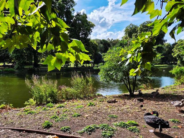 St James’s Park (세인트 제임스 파크)