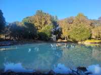 Quiet morning walk along Lake Rotorua boardwalk and Government Gardens