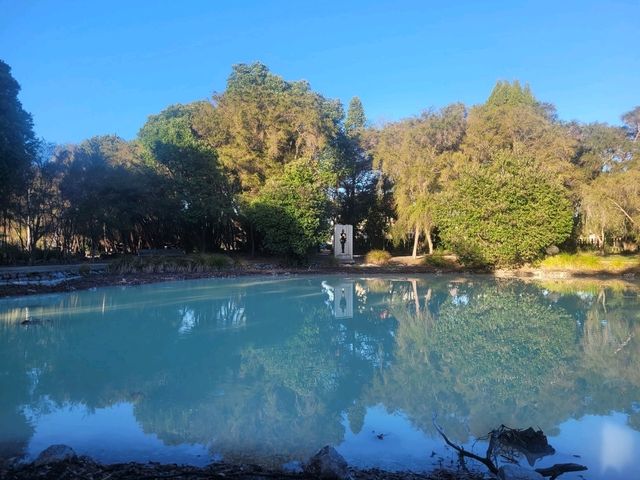 Quiet morning walk along Lake Rotorua boardwalk and Government Gardens