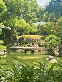 東京｜東京最美的清澄庭園 三菱創辦人的插柳成蔭