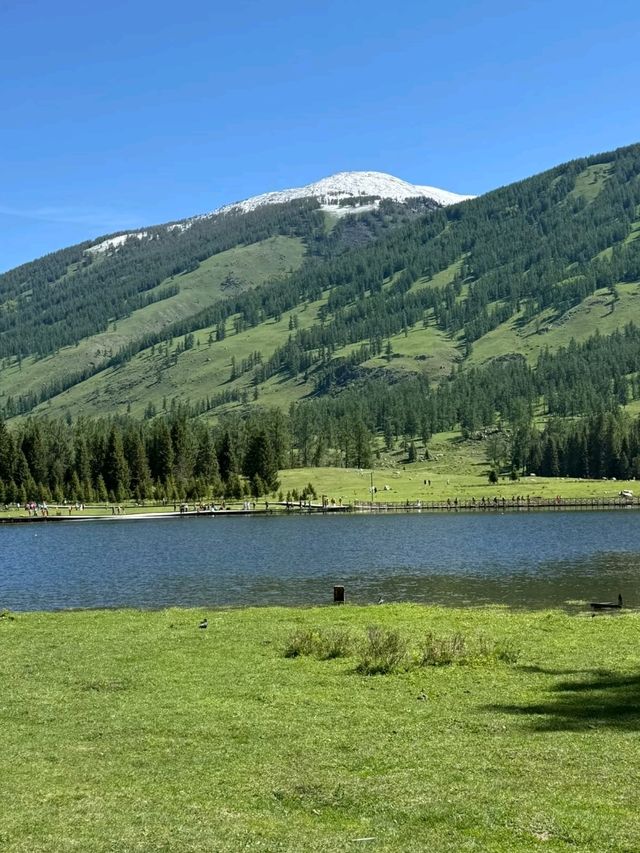 Nature’s Masterpiece: Altay