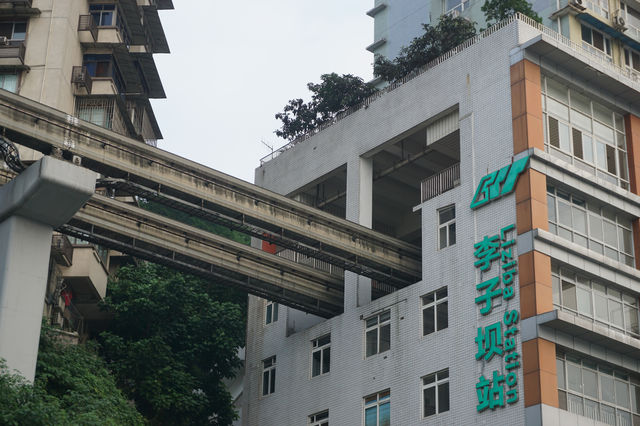 【重慶之旅📸】親身體驗「輕軌穿樓」奇觀🚇🏡