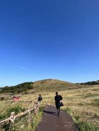 Nature Vibes Jeju🌳