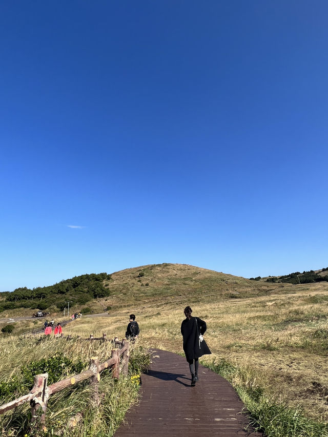 Nature Vibes Jeju🌳