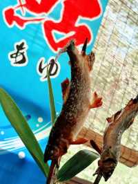 9月末まで！美味しい鮎を食べに行きましょ