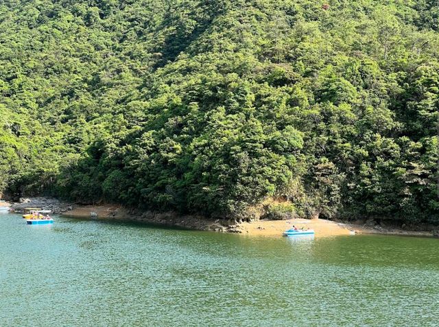 Wong Nai Chung Reservoir Park黃泥涌水塘公園