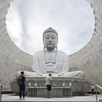 Hill of the Buddha & Moai Hill