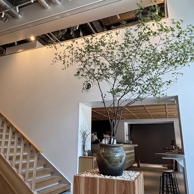 【東京/日本橋🇯🇵】四季の植物に囲まれ心と体が癒される🪴SiKiTO CAFE