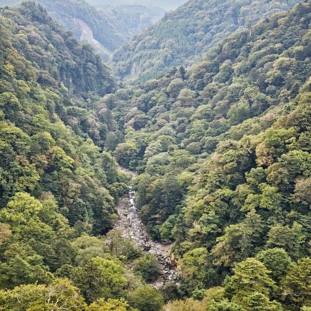 九重夢大橋