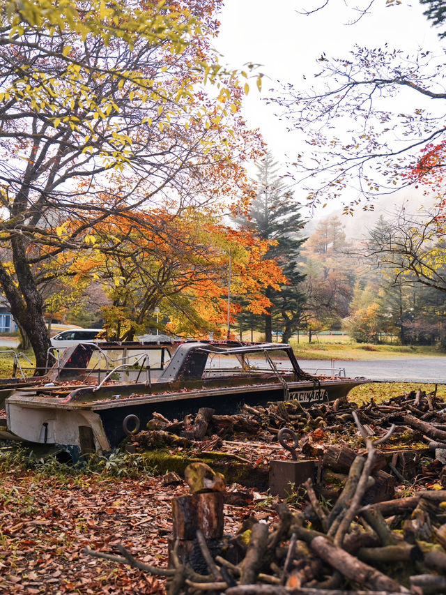【穴場の紅葉】観光攻略付‼️赤城山で最も雄大な紅葉と水鏡の絶景を楽しむ🌊 🍁⛩️✨