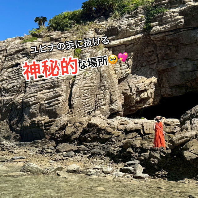 座間味島で海遊び＆自然を満喫❣️