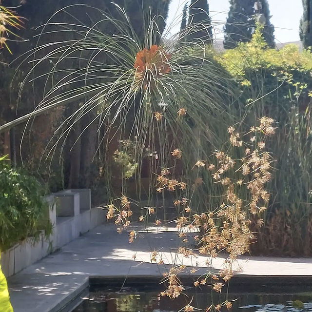 Jardín Botánico Histórico La Concepción