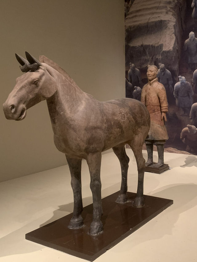 The National Museum of China 🇨🇳✨a journey through 5,000 years of Chinese civilization. The National Museum of China 🇨🇳✨a journey through 5,000 years of Chinese civilization.