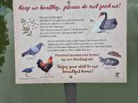 Singapore Botanic Gardens