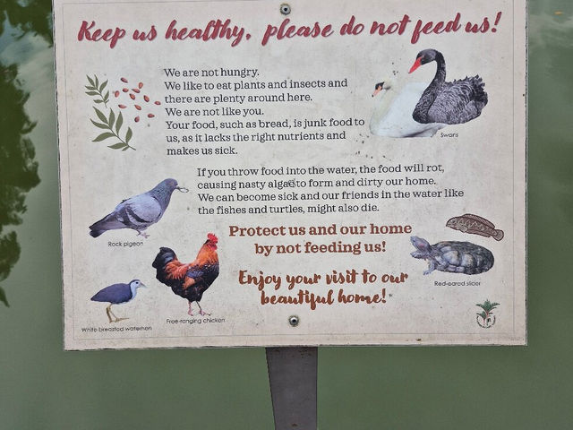 Singapore Botanic Gardens